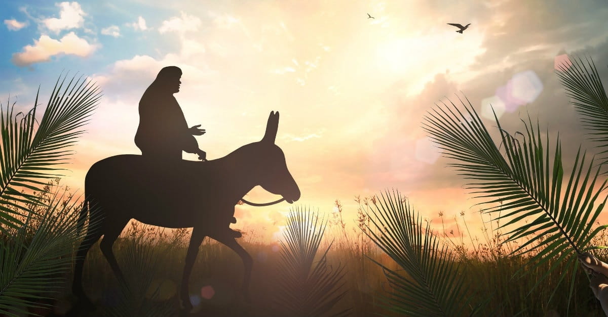 Jesus Rode A Donkey And Why Many Christians Still Can’t Get The Joke